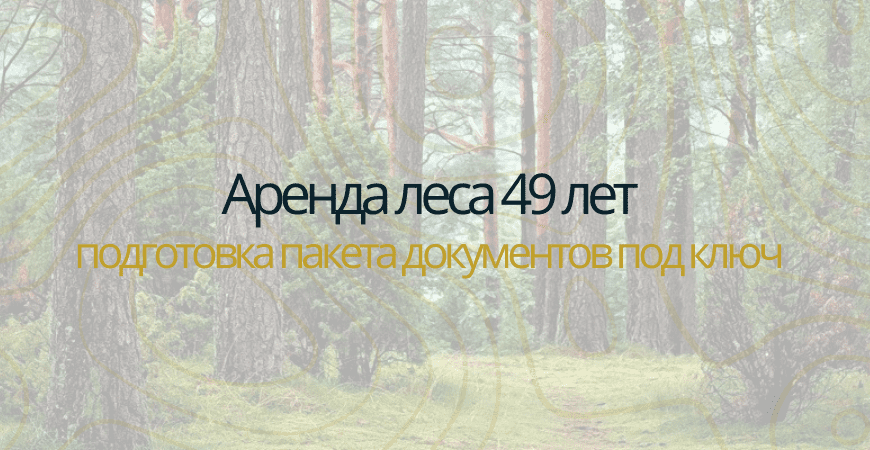 Аренда леса на 49 лет Аренда леса на 49 лет в Зеленогорске
